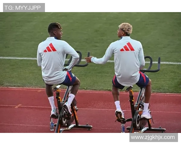 西班牙队在世界杯中的心理素质分析与表现评估